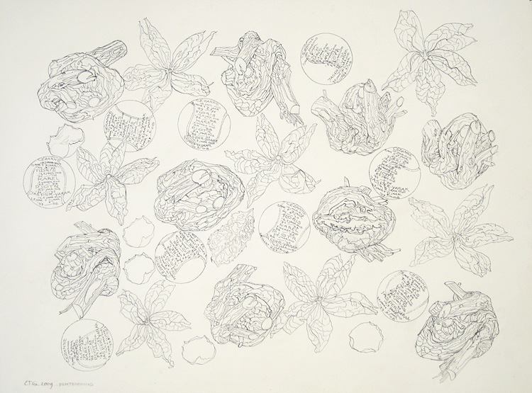 2009, pentekening, 64,5 x 48cm